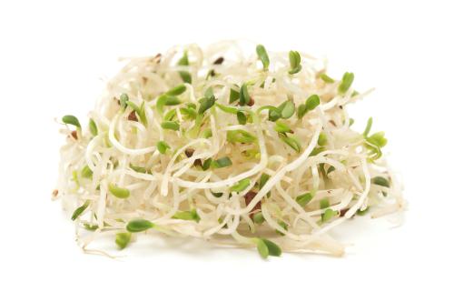 Brote Alfalfa - Frutas y Verduras - Abasto Virtual Córdoba | Venta Mayorista y Minorista