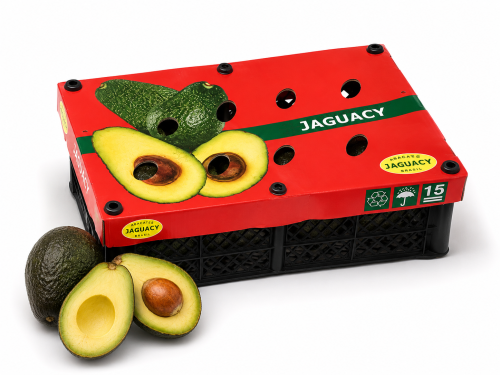 Palta Hass Brasil - Frutas y Verduras