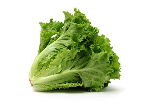 Lechuga Lechuguin - Frutas y Verduras - Abasto Virtual Córdoba | Venta Mayorista y Minorista