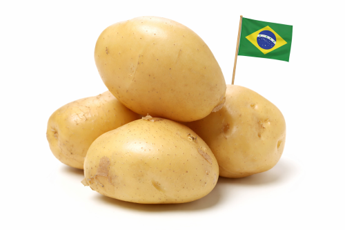 Papa Lavada Brasil - Frutas y Verduras