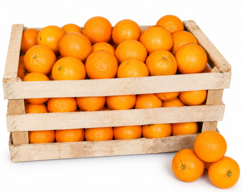Naranja De Jugo P/ Gastronomía.