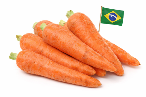 Zanahoria - Frutas y Verduras - Abasto Virtual Córdoba | Venta Mayorista y Minorista