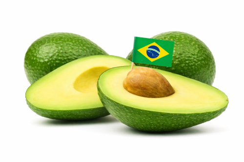 Palta Hass Br. - Frutas y Verduras