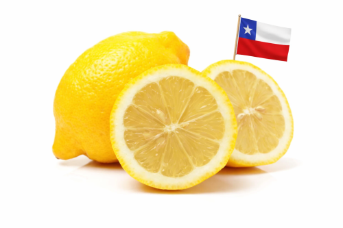 Limón Chileno - Frutas y Verduras - Abasto Virtual Córdoba | Venta Mayorista y Minorista