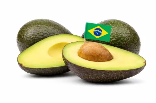 Palta Hass Br. - Frutas y Verduras - Abasto Virtual Córdoba
