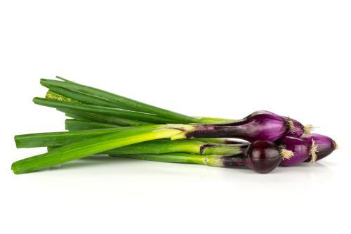 Cebolla De Verdeo - Frutas y Verduras - Abasto Virtual Córdoba | Venta Mayorista y Minorista