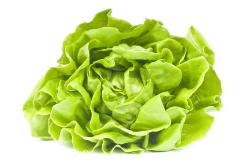 Lechuga Mantecosa Hidropónica - Frutas y Verduras