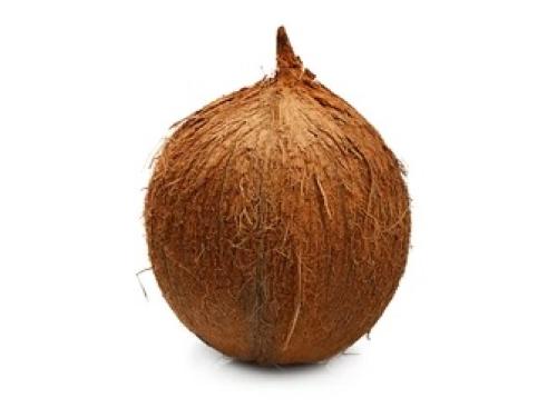 Coco - Frutas y Verduras - Abasto Virtual Córdoba | Venta Mayorista y Minorista