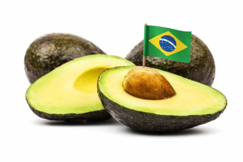 Palta Hass Br. - Frutas y Verduras
