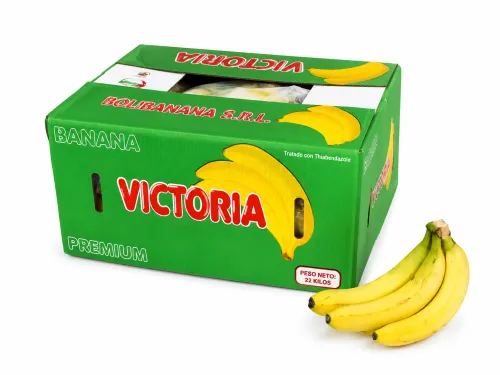 Banana De Bolivia