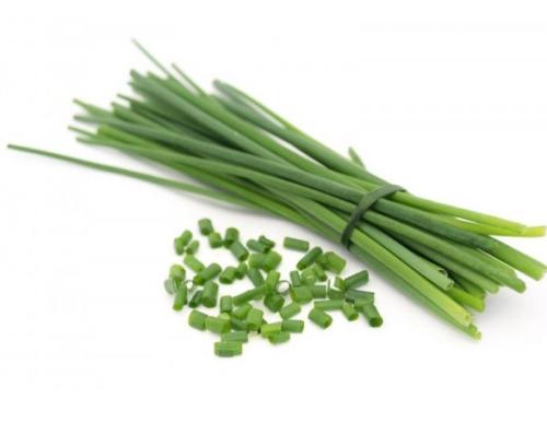 Ciboulette - Frutas y Verduras - Abasto Virtual Córdoba | Venta Mayorista y Minorista