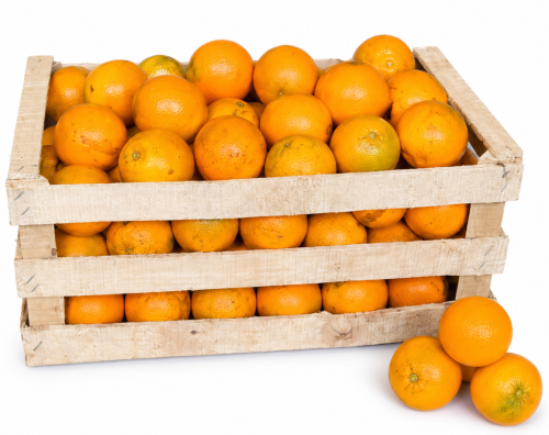 Naranja De Jugo P/ Gastronomía. - Frutas y Verduras