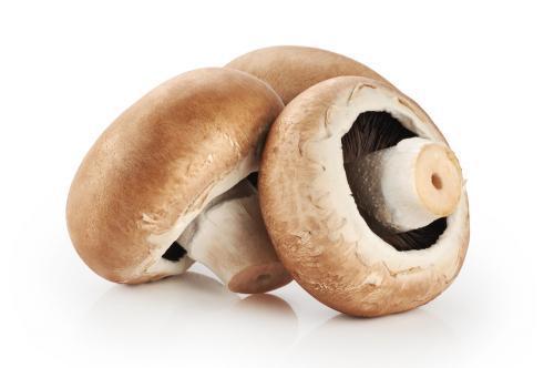 Hongo Portobello - Frutas y Verduras - Abasto Virtual Córdoba | Venta Mayorista y Minorista