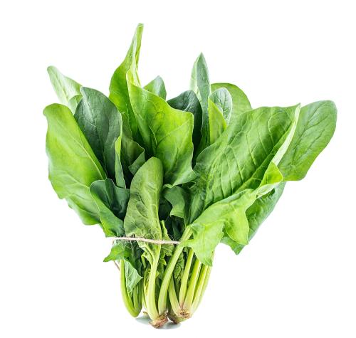 Espinaca De Invierno - Frutas y Verduras - Abasto Virtual Córdoba | Venta Mayorista y Minorista