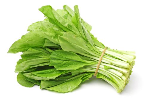 Achicoria - Frutas y Verduras - Abasto Virtual Córdoba | Venta Mayorista y Minorista