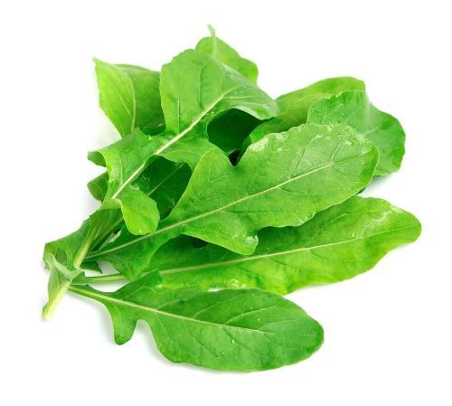 Rúcula - Frutas y Verduras - Abasto Virtual Córdoba | Venta Mayorista y Minorista