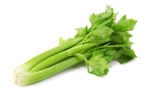 Apio - Frutas y Verduras - Abasto Virtual Córdoba | Venta Mayorista y Minorista