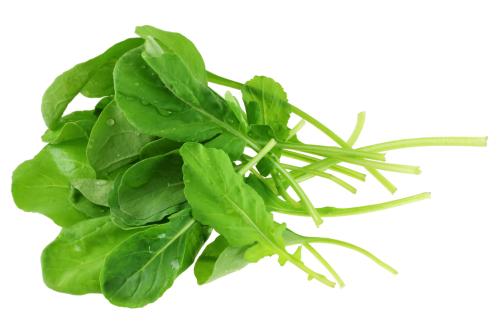 Rúcula Hidropónica - Frutas y Verduras - Abasto Virtual Córdoba | Venta Mayorista y Minorista