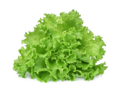 Lechuga Crespa Hidropónica - Frutas y Verduras