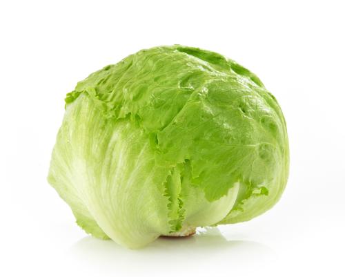 Lechuga Repollada - Frutas y Verduras - Abasto Virtual Córdoba | Venta Mayorista y Minorista