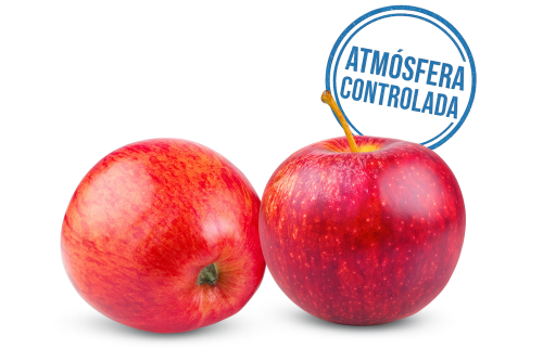Manzana Red A. C. - Frutas y Verduras