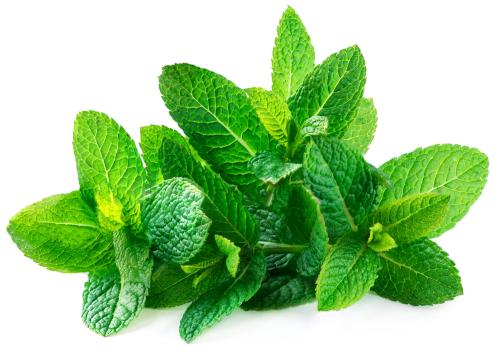 Menta - Frutas y Verduras - Abasto Virtual Córdoba | Venta Mayorista y Minorista