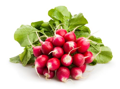 Rabanito - Frutas y Verduras - Abasto Virtual Córdoba | Venta Mayorista y Minorista