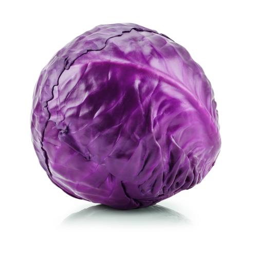 Repollo Morado - Frutas y Verduras - Abasto Virtual Córdoba | Venta Mayorista y Minorista